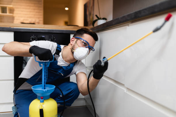 Best Pest Prevention Services  in Masonville, KY