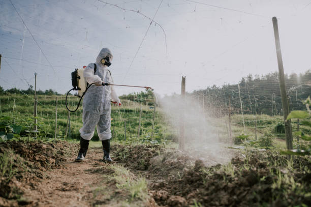 Best Best Pest Control Companies  in Masonville, KY