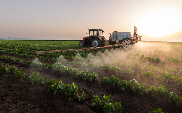 Best Commercial Pest Control Services  in Masonville, KY