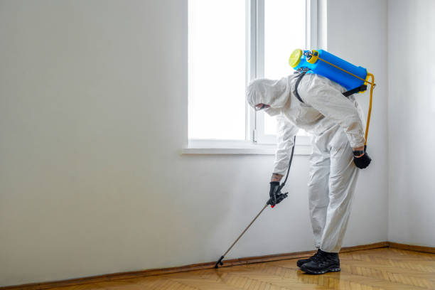 Best Mosquito Control Services  in Masonville, KY