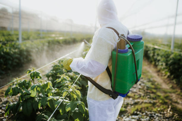 Reliable Masonville, KY Pest Control Solutions